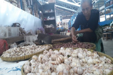 Harga Bawang Putih dan Cabai Hari Ini Melonjak