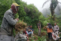 4 Titik Baru Ladang Ganja Lereng Semeru Ditemukan, Total 40 Ribu Tanaman Disita