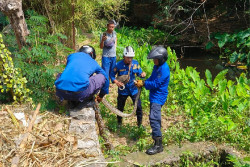 Wuih! Ular Sanca 5 Meter Akhirnya Berhasil Dievakuasi dari Kolam Ikan di Banguntapan