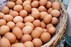 Pantauan Harga Pangan, Telur Ayam Ras dan Beras Premium Hari Ini Mahal