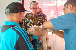 Sleman Menggelar Vaksinasi Rabies Gratis Peringati World Rabies Day