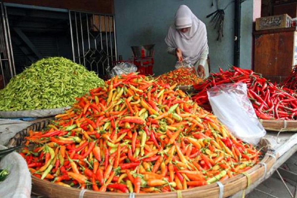 Harga Cabai Naik Lagi Akhir Pekan Ini, Tembus Rp49.800 per Kilogram