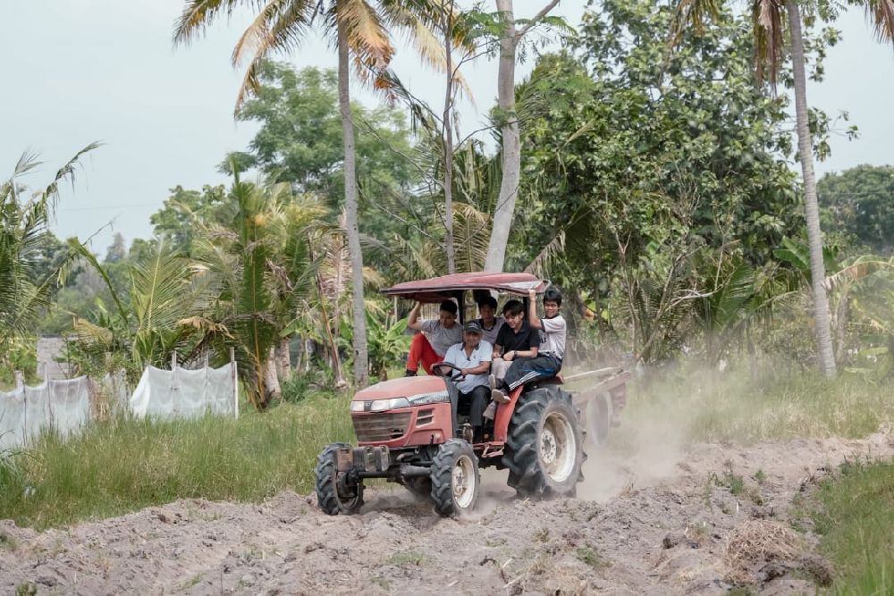 Dukung Ketahanan Pangan, Harda Kiswaya Kunjungi Lahan Pertanian di Dero Wetan Pakem