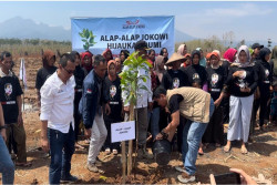 Dukung Pemberdayaan Masyarakat Desa, Relawan Alap-Alap Jokowi Tanam Ribuan Pohon di Nganjuk