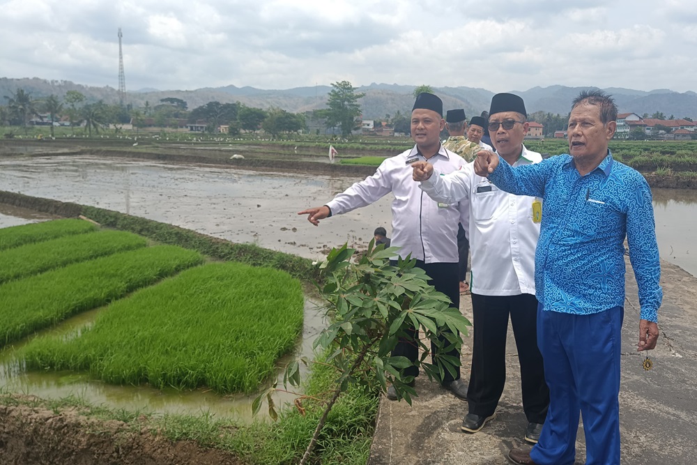 Wakaf Produktif Digalakkan, Sawah Seluas 1.396 Meter Persegi di Kulonprogo Digunakan untuk Panti Asuhan