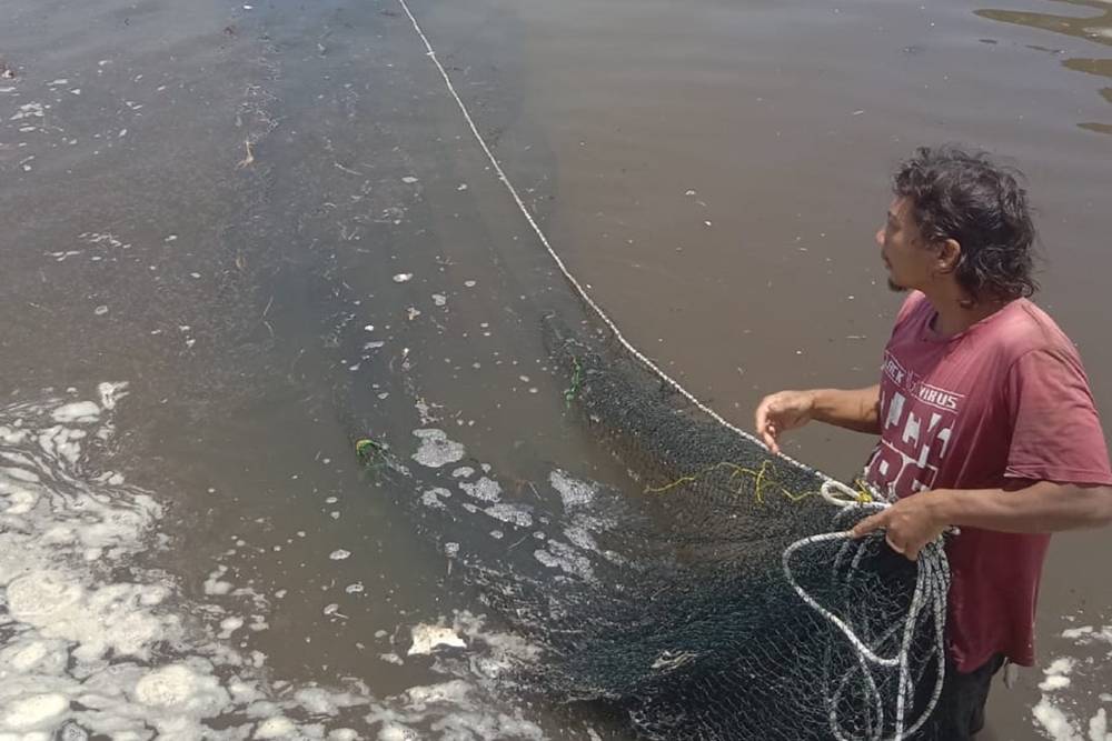 Hantam 7 Tambak Udang di Kulonprogo, Gelombang Tinggi Picu Abrasi Sepanjang 20 Meter