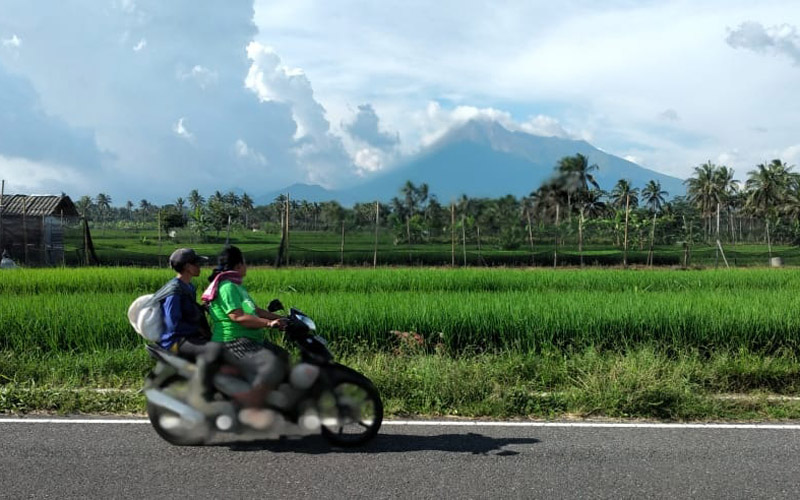 Musim Hujan di Depan Mata, Masa Tanam Padi Bakal Dimulai Oktober dan November