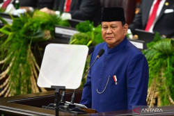 Presiden Prabowo Siap Kirim Bantuan Lebih Banyak ke Palestina