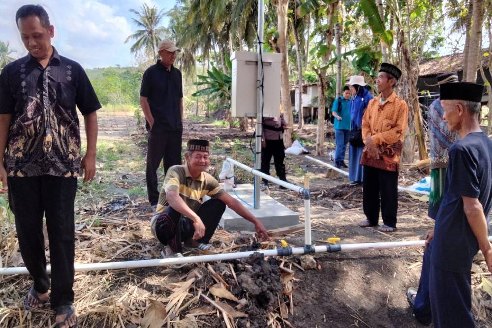 Digelontor Danais, Warga Sidorejo Kulonprogo Kembangkan Budi Daya Jahe Merah