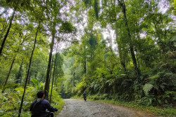 Bersama-sama Menjaga Kesehatan 'Paru-Paru' Dunia