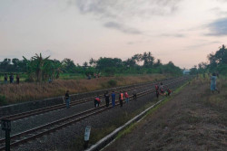 Warga Asal Magelang Tertabrak Kereta Api di Kulonprogo, Meninggal di Tempat Kejadian