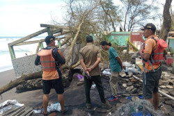 2.008 Telur Penyu Menetas di Pesisir Kulonprogo, Abrasi Jadi Tantangan