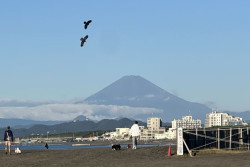 Pertama Kalinya dalam 130 Tahun, Begini Penampakan Gunung Fuji Tanpa Salju