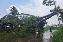 Sleman Dilanda Hujan Angin sejak Minggu Siang, Pohon Tumbang hingga Atap Rumah Rusak