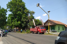 Cegah Bencana Hidrometeorologi, DLH Bantul Tebang Pohon di Ruas Jalan Kabupaten