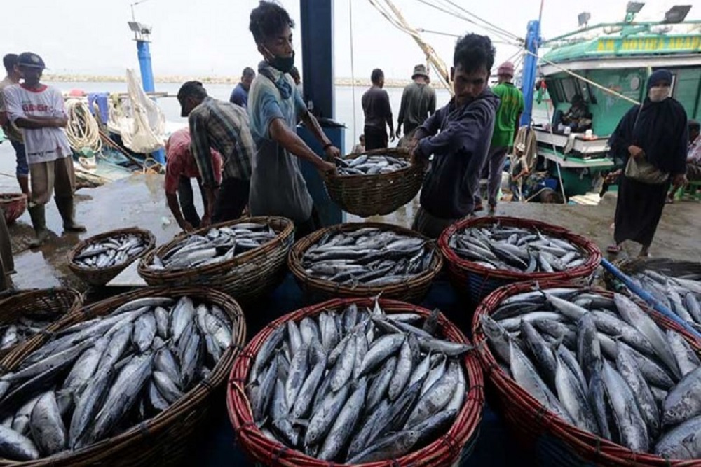 Nilai Produksi Perikanan Tangkap Gunungkidul Tembus Rp62,1 Miliar