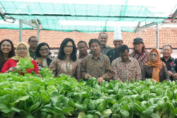 Pemanfaatan Ruang Pengolahan POC & Panen Hidroponik di The Phoenix Hotel Yogyakarta