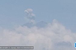 Gunung Semeru Lima Kali Meletus pada Selasa 12 November 2024, Tinggi Letusan Capai 800 Meter