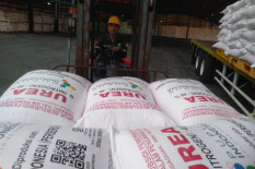 Serapan Pupuk Urea di Gunungkidul Baru Mencapai 35 Persen