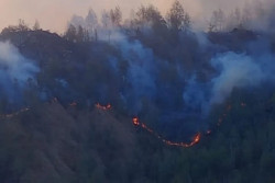 Gunung Rinjani Kebakaran, Pendakian via Jalur Senaru Ditutup Sementara