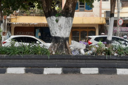 Rutin Dibersihkan, Sampah Liar di Pembatas Jalan Depan Pasar Demangan Tetap Muncul