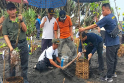 DLH Kulonprogo Tanam Ribuan Pohon dari Pantai Trisik sampai Perbukitan Menoreh