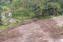 Satu Hektare Sawah dan Dua Traktor Tertimbun Tanah Longsor di Kulonprogo