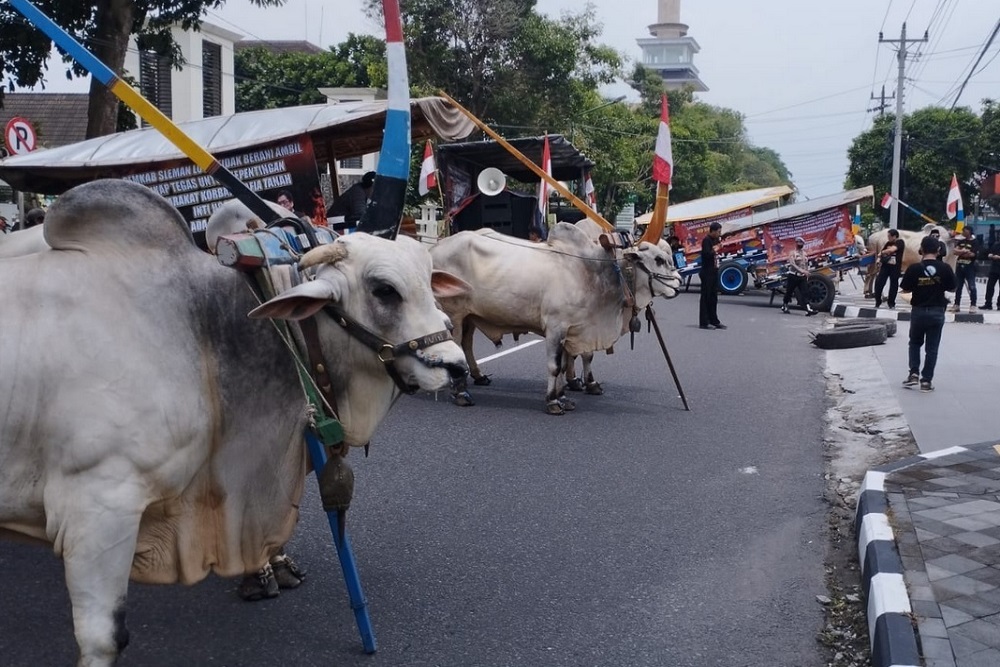 Korban Jual Beli Apartemen Malioboro City Demo Lagi, Kini Pakai Gerobak Sapi