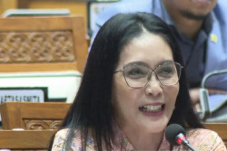 Anggota DPR Rieke Diah Pitaloka Minta Rencana Kenaikan PPN 12 Persen Dibatalkan