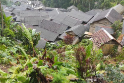 Puluhan Rumah di Lebak Bergerak dan Berdempetan Akibat Pergerakan Tanah