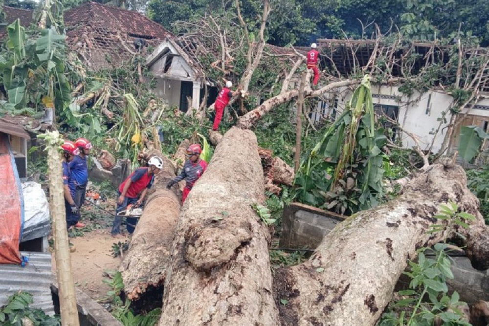 Angin Kencang Melanda DIY, BPBD Bantul Terapkan Penanganan Prioritas