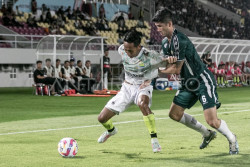 PSS Sleman Keok Melawan Persib Bandung 1-2