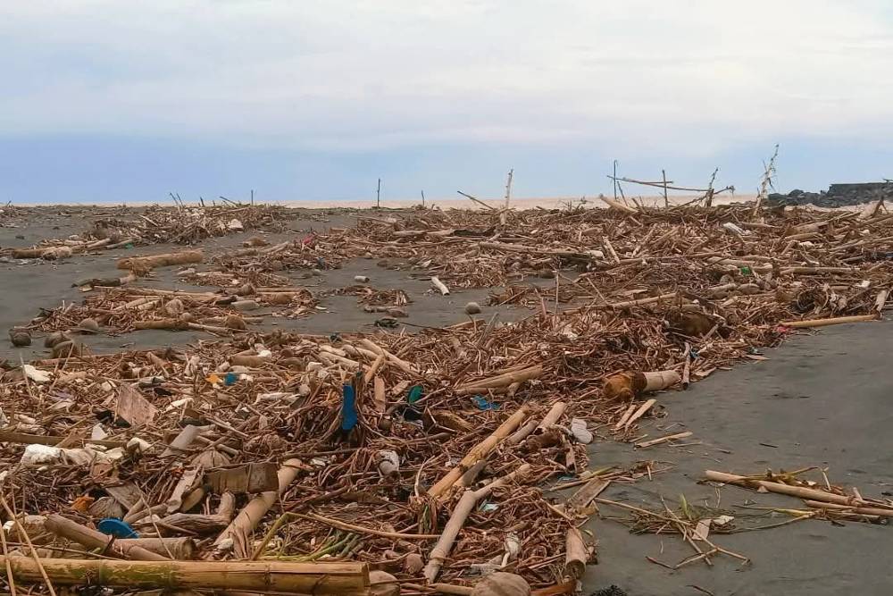 Musim Hujan, Kali Progo Bawa Sampah Sampai Pantai Trisik