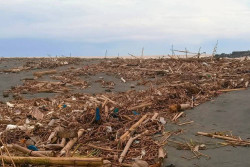 Musim Hujan, Kali Progo Bawa Sampah Sampai Pantai Trisik