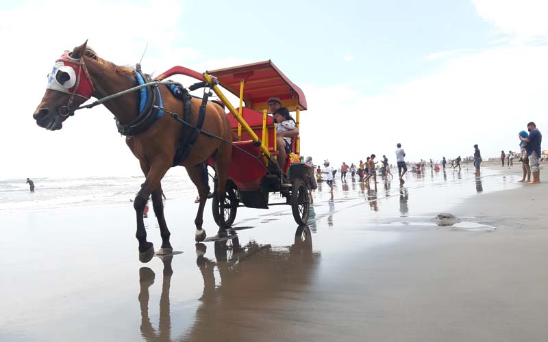 Ribuan Wisatawan Mulai Padati Pantai Parangtritis, Wisatawan Diminta Patuhi Imbauan Petugas