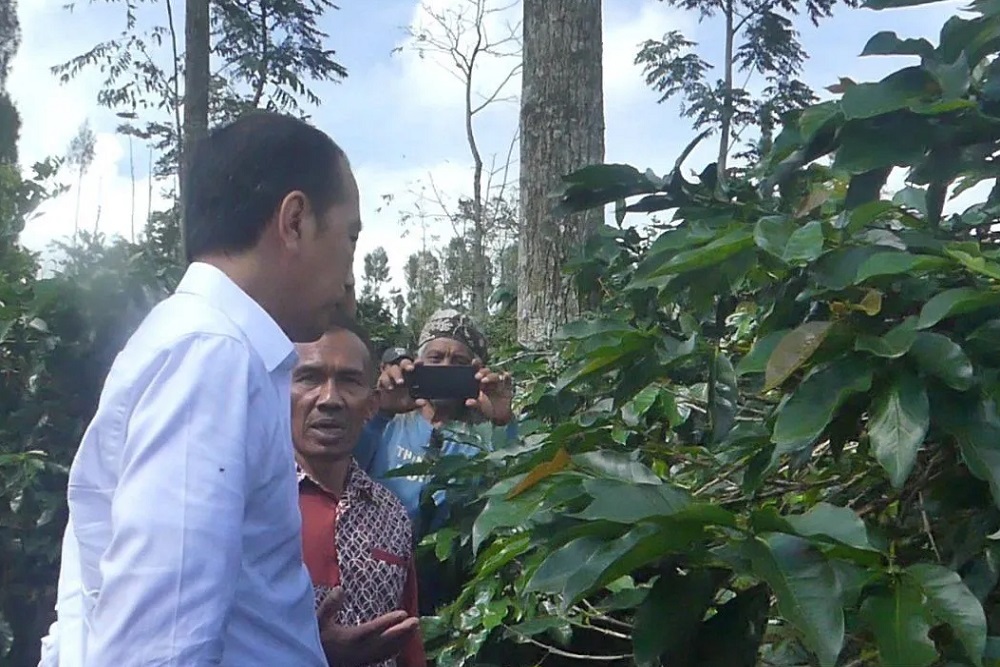 Jalan-jalan ke Temanggung, Jokowi Bertemu dengan Petani Kopi