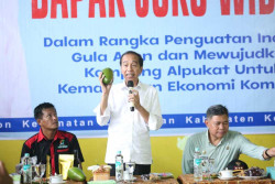 Kunjungi Desa Peron, Jokowi Kagumi Produk Alpukat dan Gula Aren