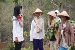 Kisah Suswaningsih, Bertahun Membangunkan Ratusan Hektar Lahan Tidur di Gunungkidul