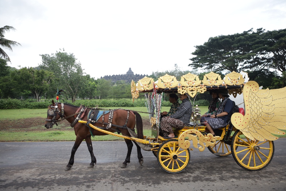 Wah! Lima Pengunjung Pertama Awal 2025 di Candi Borobudur dapat Fasilitas Naik Andong, di Prambanan Tanam Pohon