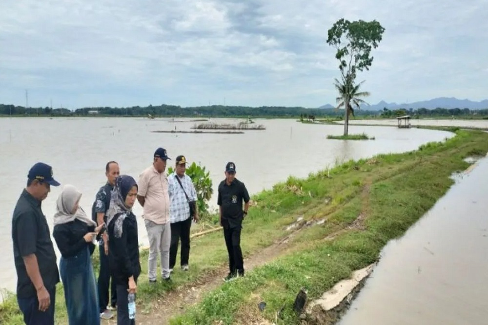 Sawah di Tiga Kalurahan Ini Langganan Banjir, DPRD Kulonprogo Minta BBWSO Segera Normalisasi Sungai