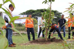 Sukseskan Gerakan Satu Juta Pohon, KAI Daop 6 Perkuat Komitmen Hijau