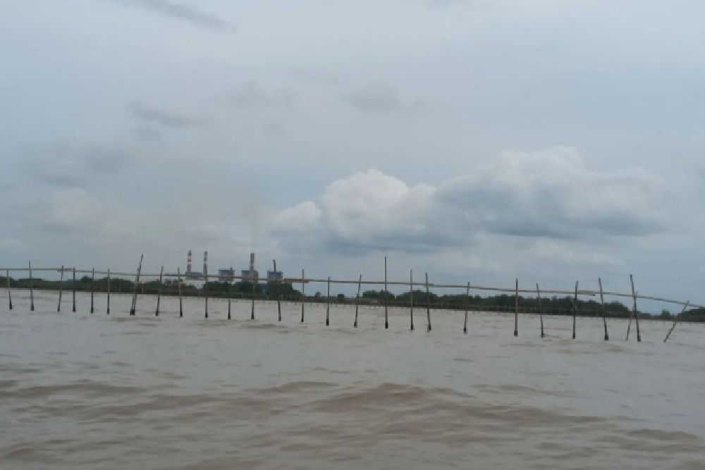 Pagar Bambu 30 Kilometer di Laut Pantura Tangerang Diklaim untuk Mitigasi Bencana Tsunami dan Abrasi