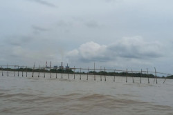 Pagar Bambu 30 Kilometer di Laut Pantura Tangerang Diklaim untuk Mitigasi Bencana Tsunami dan Abrasi