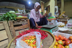 Harga Cabai Naik 2 Kali Lipat, Disdagin Kulonprogo Minta Masyarakat Atur Konsumsi