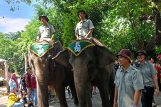 Gembira Loka Zoo Raih Apresiasi atas Pengelolaan Satwa dan Upaya Konservasi Gajah Sumatera