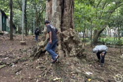 Tren Permainan 'Koin Jagat', Pengamat: Tak Produktif dan Berbahaya