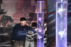 Sepanjang 2024, 100 Juta Wisatawan Kunjungi Museum Sains dan Teknologi di China