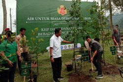 Sultan Bersama Pemuda Lintas Agama Tanam 100 Pohon Langka di Kaliurang