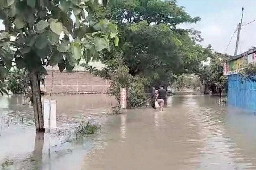 Hujan Deras, Ratusan Hektare Sawah di Sragen Tergenang Banjir