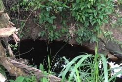 Ikan di Sungai Serang Banyak yang Mati Diduga Kena Limba TPA Banyuroto, Warga Kulonprogo Protes